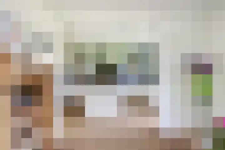 Rietkamp 36 Vianen thumbnail 27