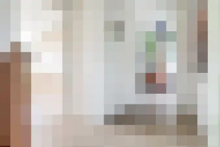 Rietkamp 36 Vianen thumbnail 35