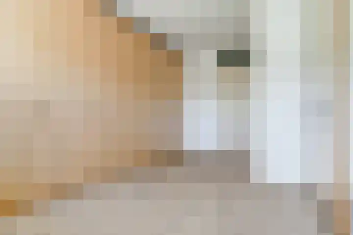 Rietkamp 36 Vianen thumbnail 42