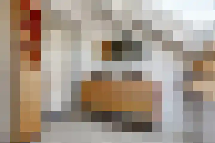 Rietkamp 36 Vianen thumbnail 45