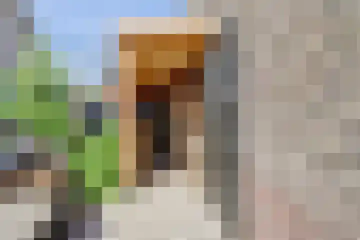 Rietkamp 36 Vianen thumbnail 53