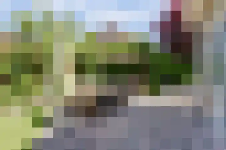 Rietkamp 36 Vianen thumbnail 57