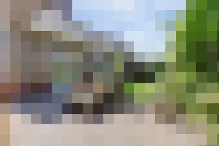 Rietkamp 36 Vianen thumbnail 59