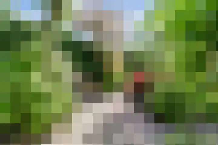 Rietkamp 36 Vianen thumbnail 61