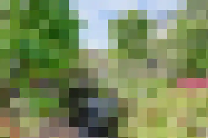 Rietkamp 36 Vianen thumbnail 62
