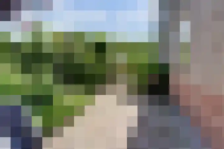 Rietkamp 36 Vianen thumbnail 64