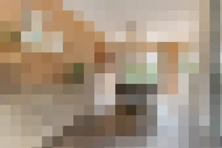 Rietkamp 58 Odijk thumbnail 18