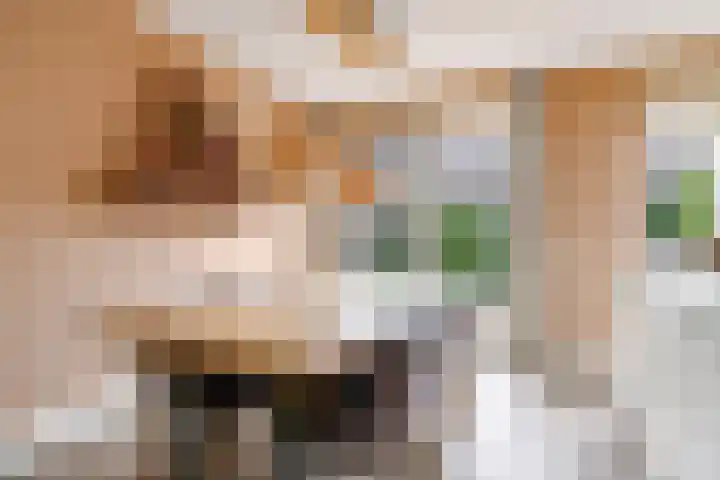 Rietkamp 58 Odijk thumbnail 21