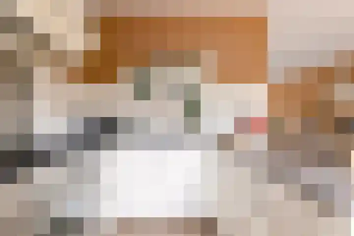 Rietkamp 58 Odijk thumbnail 25