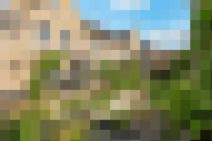 Rietkamp 58 Odijk thumbnail 4