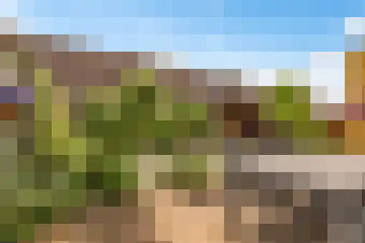 Rietkamp 58 Odijk thumbnail 51