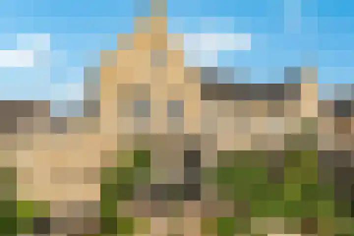 Rietkamp 58 Odijk thumbnail 52
