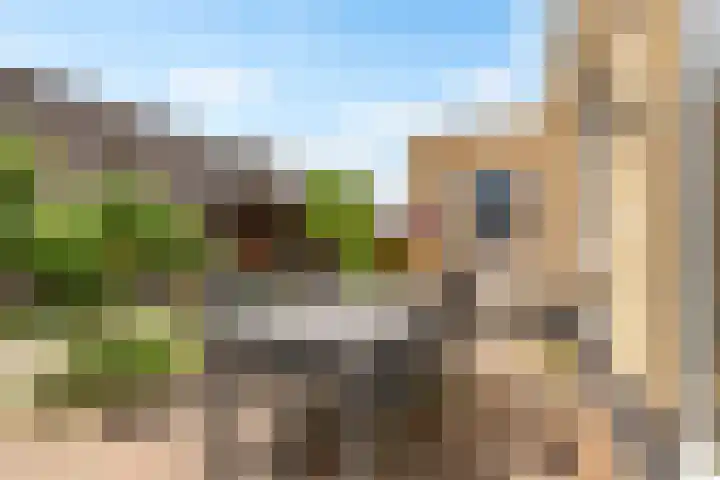 Rietkamp 58 Odijk thumbnail 53