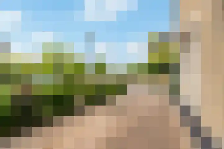 Rietkamp 58 Odijk thumbnail 61