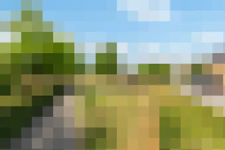 Rietkamp 58 Odijk thumbnail 63