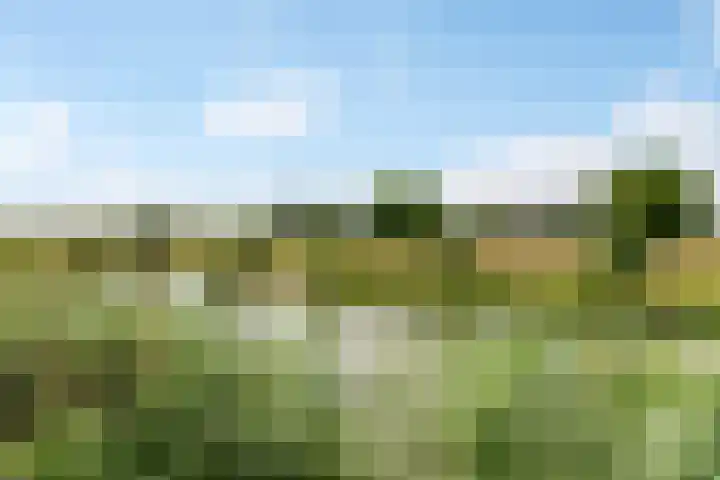 Rietkamp 58 Odijk thumbnail 65