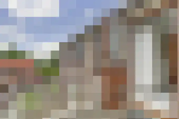 Rietkamp 60 Hattem thumbnail 13