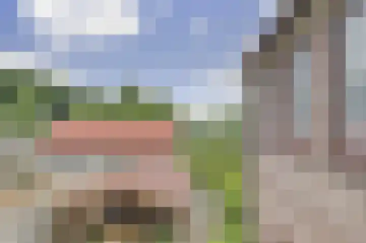 Rietkamp 60 Hattem thumbnail 21