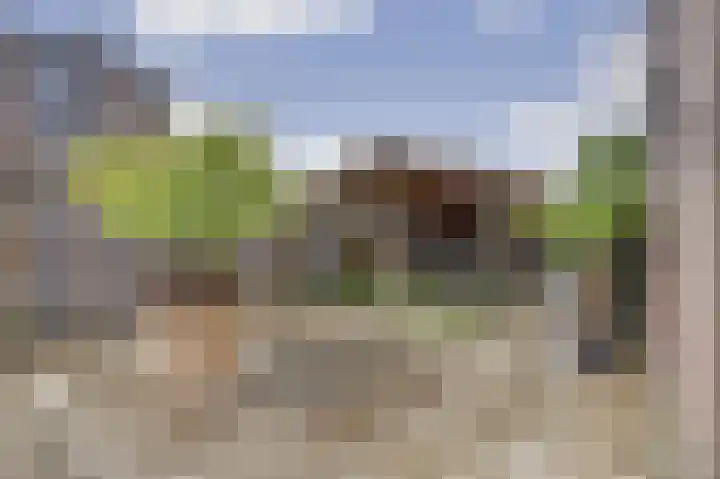 Rietkamp 60 Hattem thumbnail 25