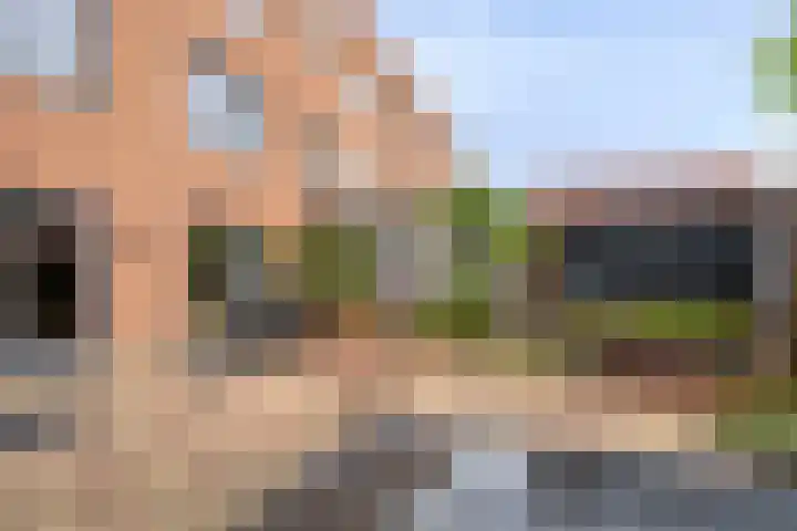 Rietlaan 34 Zeewolde thumbnail 37