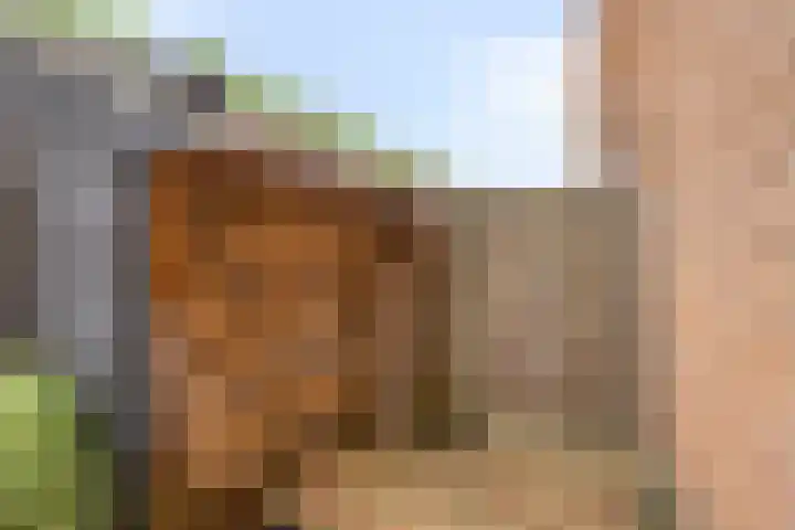 Rietlaan 34 Zeewolde thumbnail 39