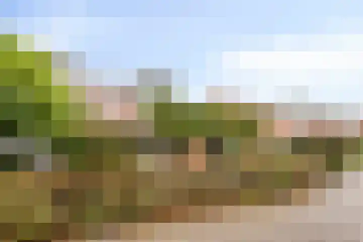 Rietlaan 34 Zeewolde thumbnail 42