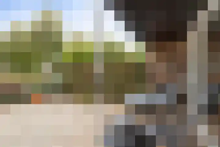 Rietlaan 34 Zeewolde thumbnail 7