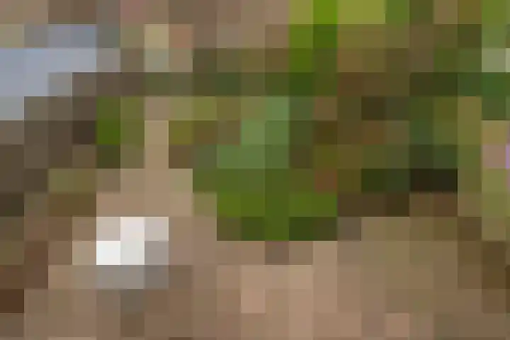 Rietlaan 40 Zeewolde thumbnail 30