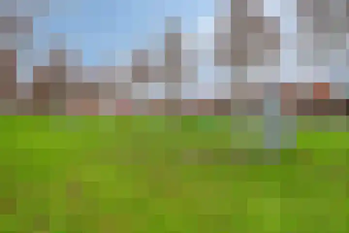 Rietlaan 40 Zeewolde thumbnail 34