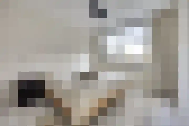 Rietlaan 64 Zeewolde thumbnail 17