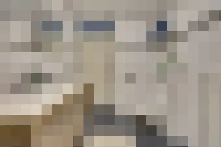 Rietlaan 64 Zeewolde thumbnail 22