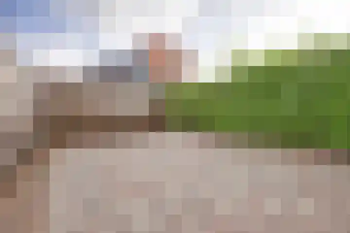 Rietlaan 64 Zeewolde thumbnail 30
