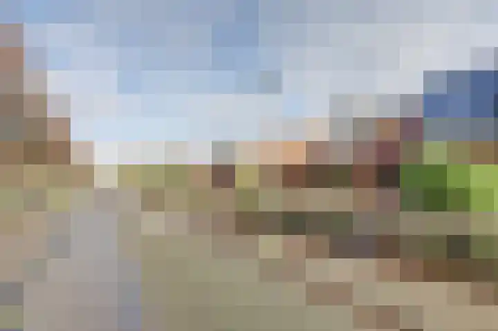 Rietlaan 64 Zeewolde thumbnail 31