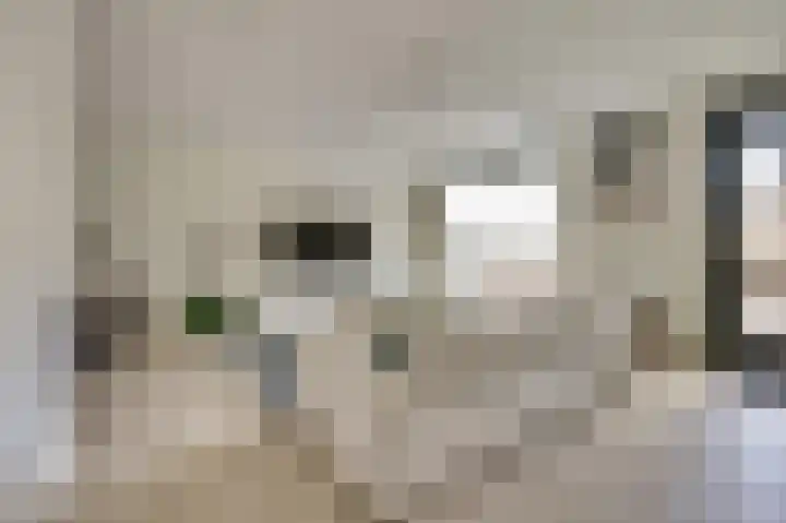 Rietlaan 64 Zeewolde thumbnail 5