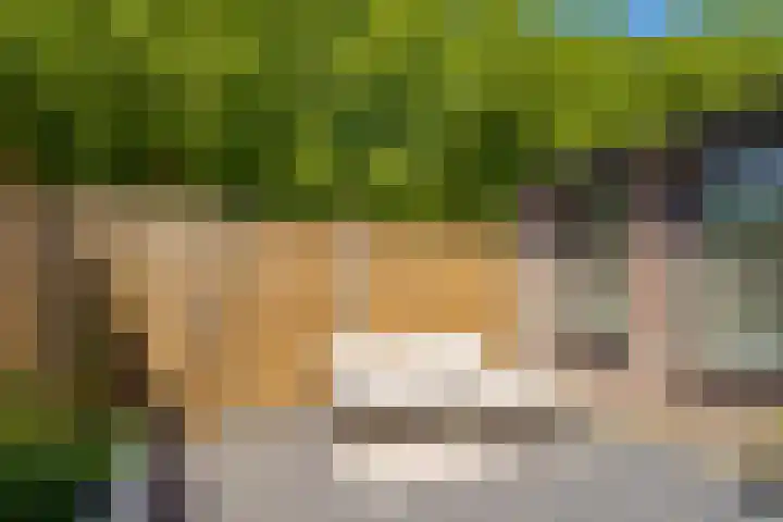 Rietmeent 186 Almere thumbnail 19