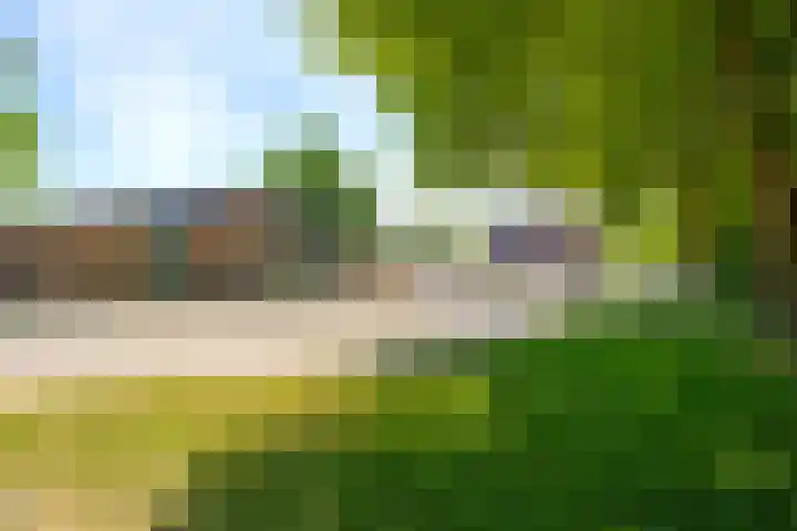 Rietmeent 186 Almere thumbnail 26