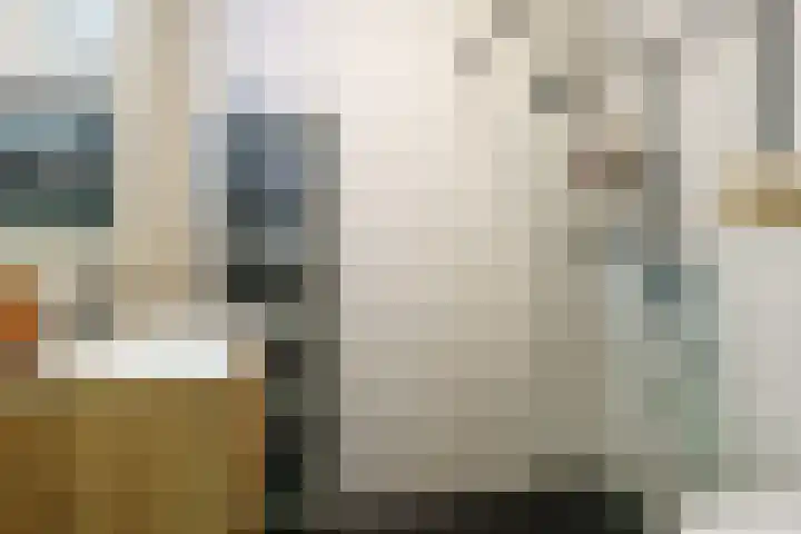 Rietmeent 186 Almere thumbnail 5