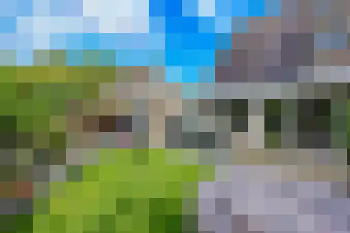Rietmeent 277 Almere thumbnail 31