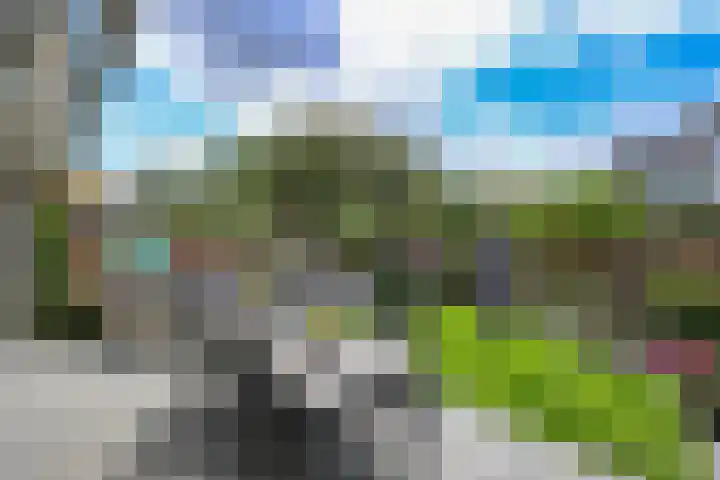 Rietmeent 277 Almere thumbnail 32