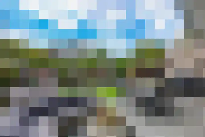 Rietmeent 277 Almere thumbnail 33