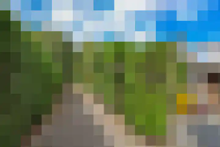 Rietmeent 277 Almere thumbnail 36