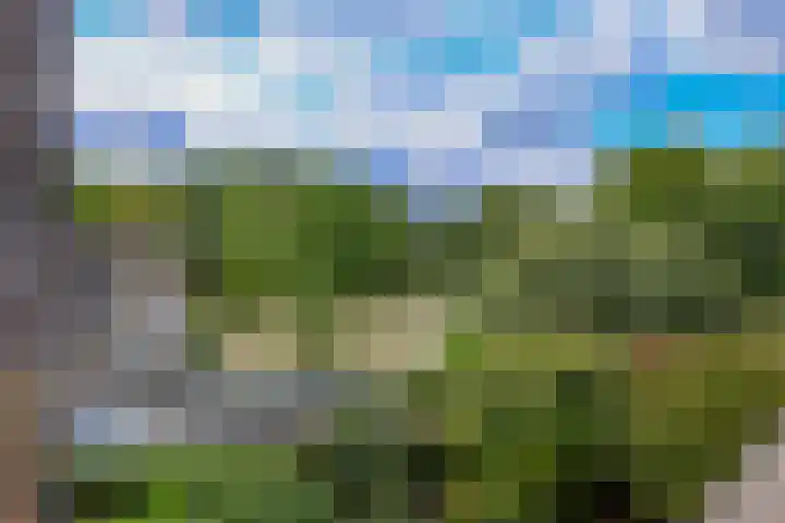 Rietmeent 277 Almere thumbnail 40