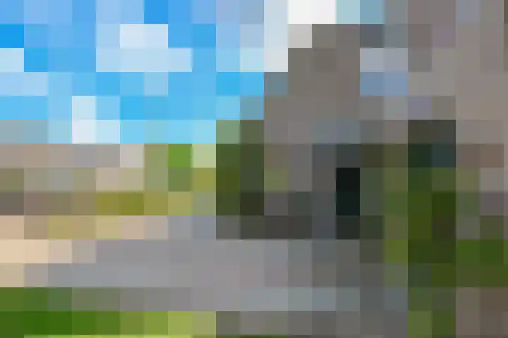 Rietmeent 277 Almere thumbnail 47