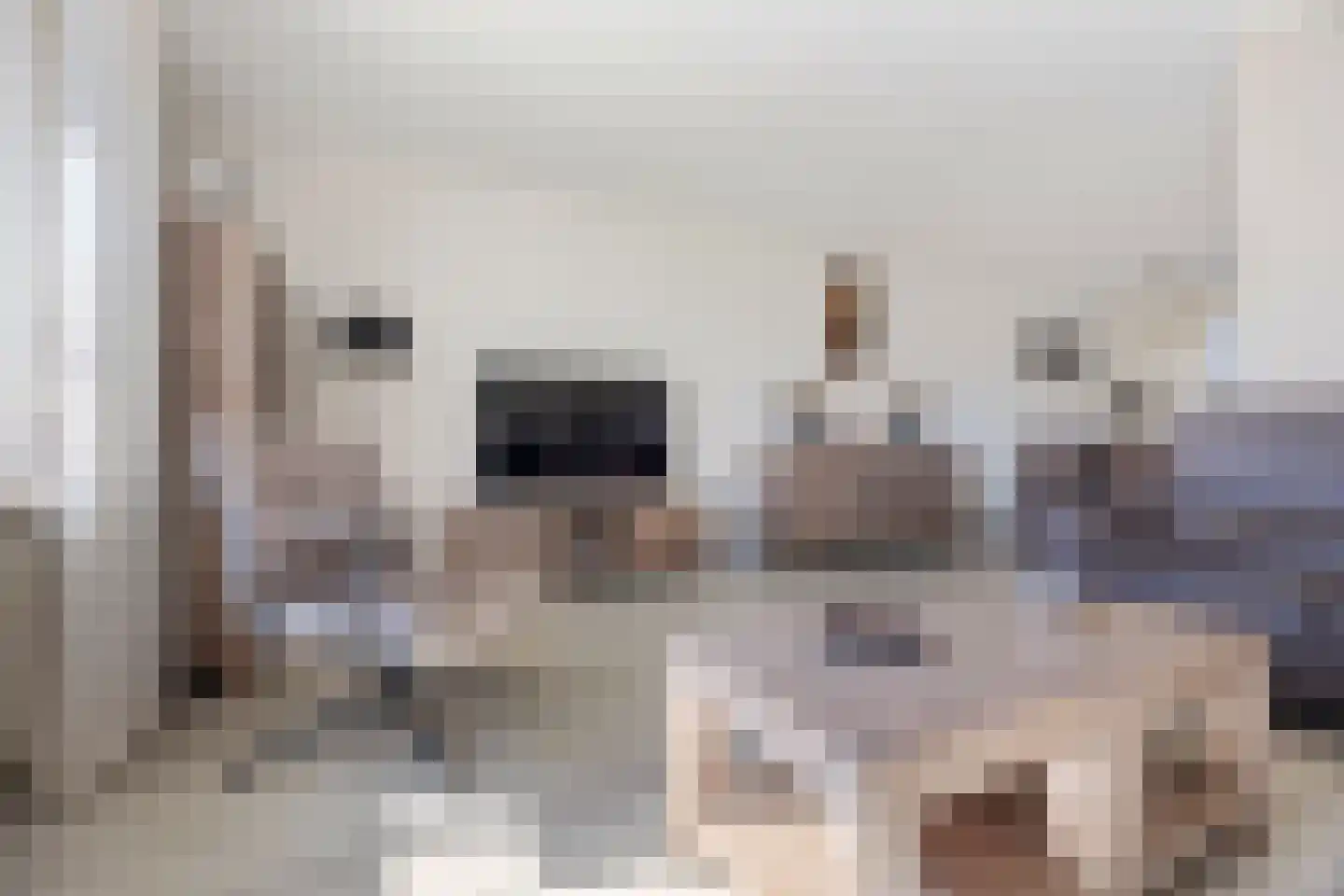 Rietmees 3 Emmen thumbnail 11