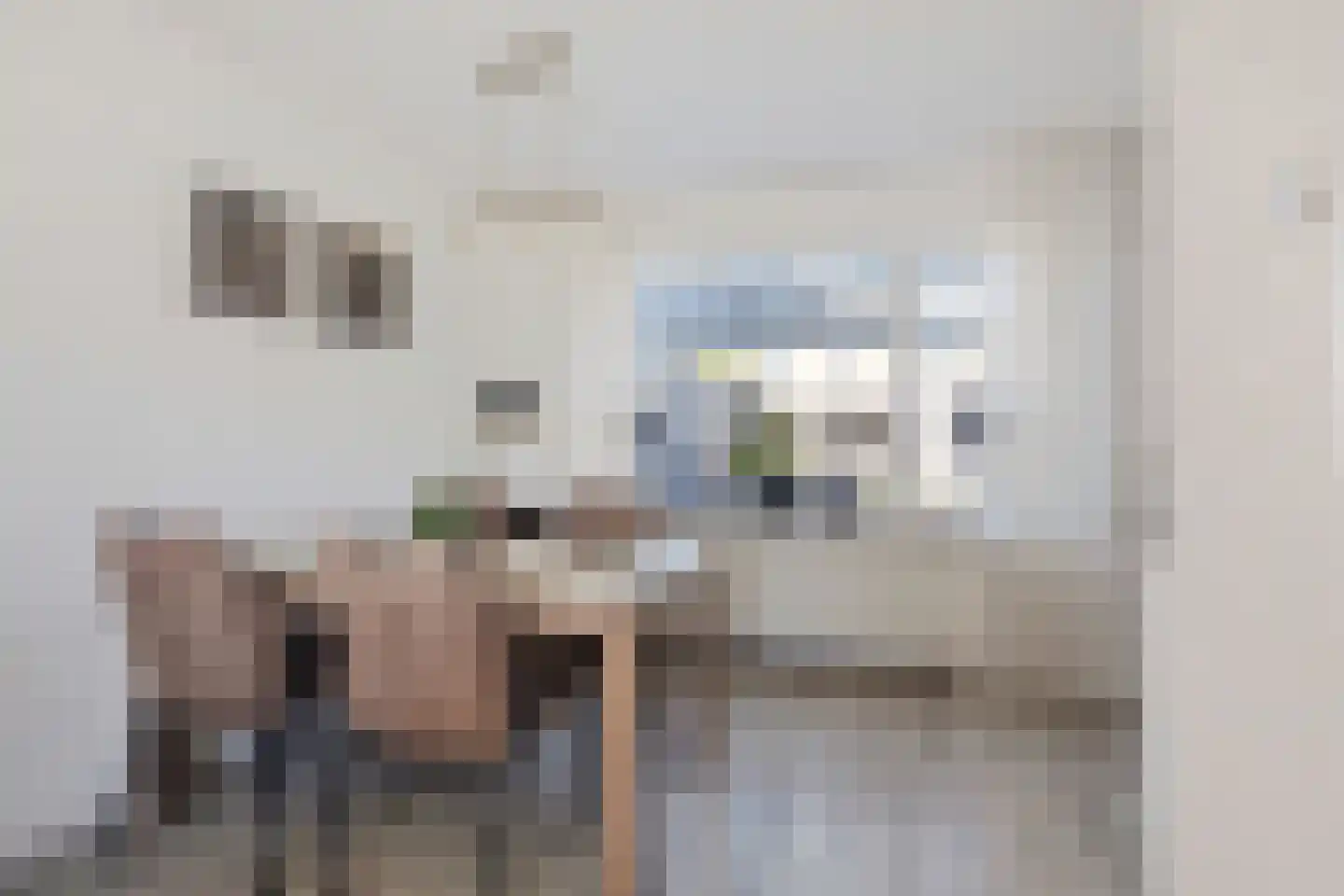 Rietmees 3 Emmen thumbnail 13