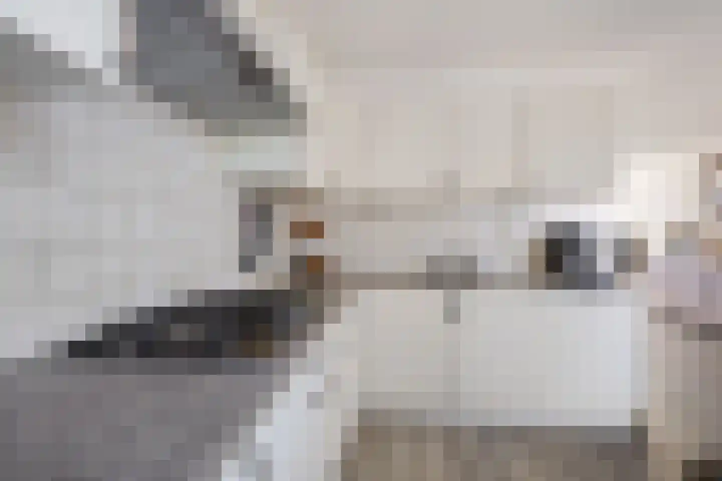 Rietmees 3 Emmen thumbnail 15