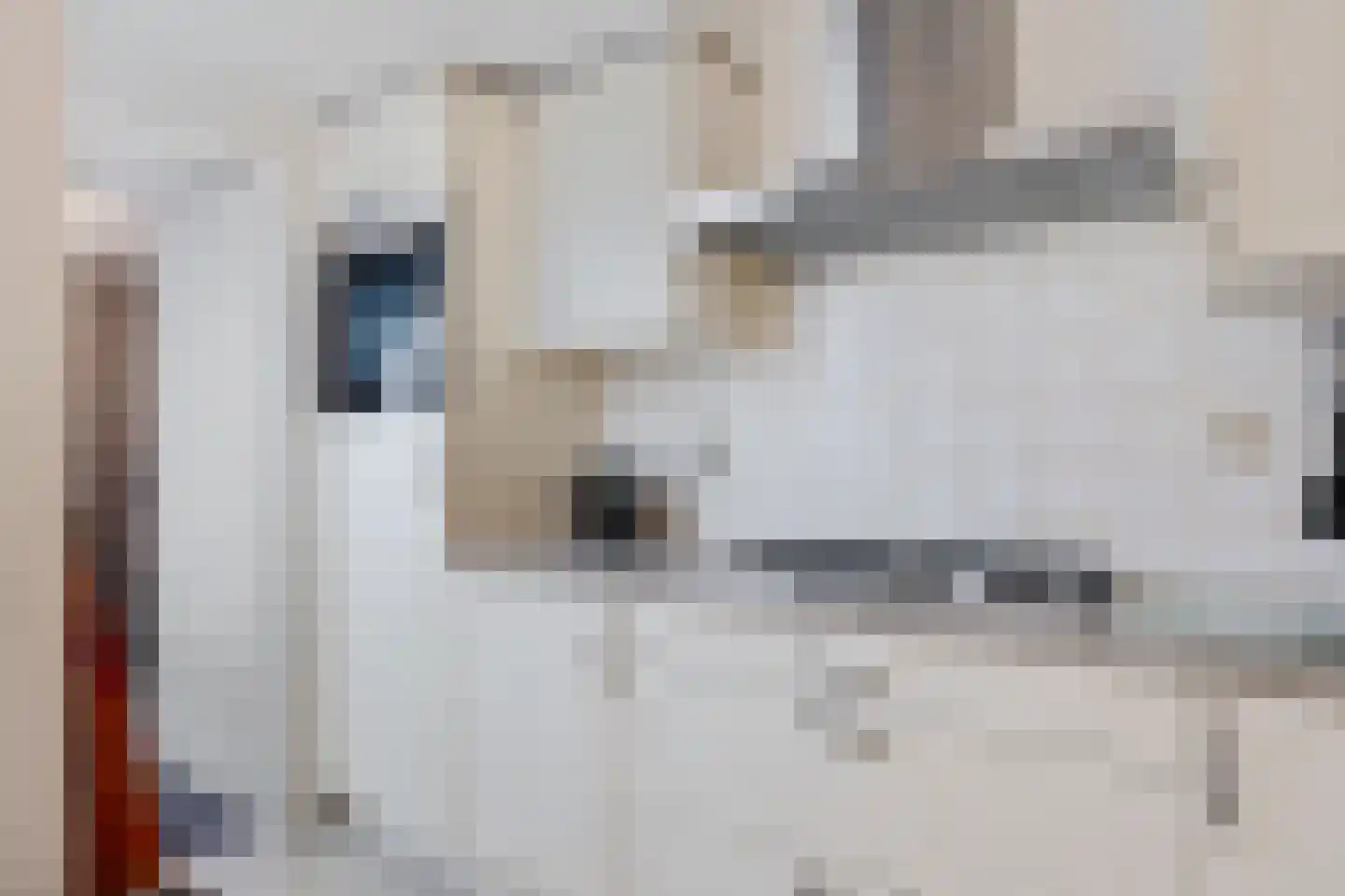 Rietmees 3 Emmen thumbnail 16