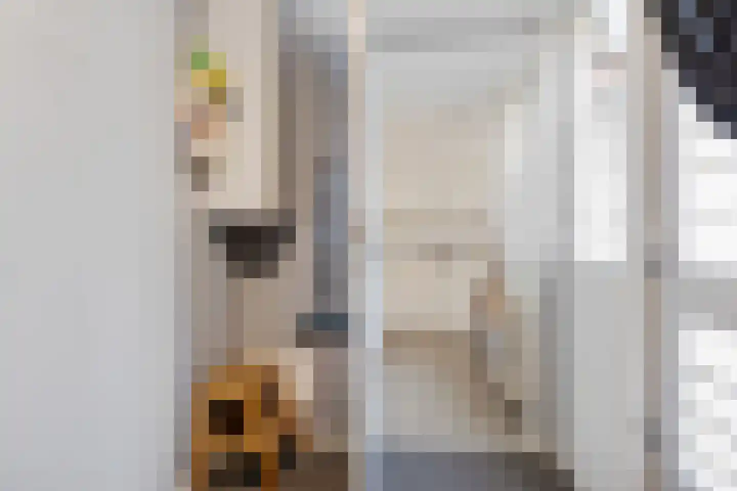 Rietmees 3 Emmen thumbnail 17