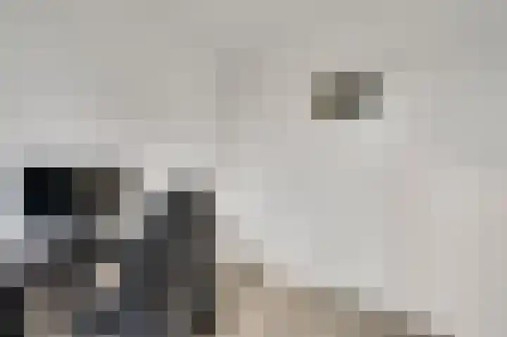 Rietmees 3 Emmen thumbnail 22