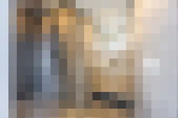 Rietmees 3 Emmen thumbnail 23